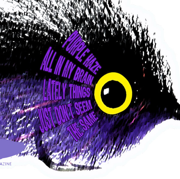 saltwater fly fishing