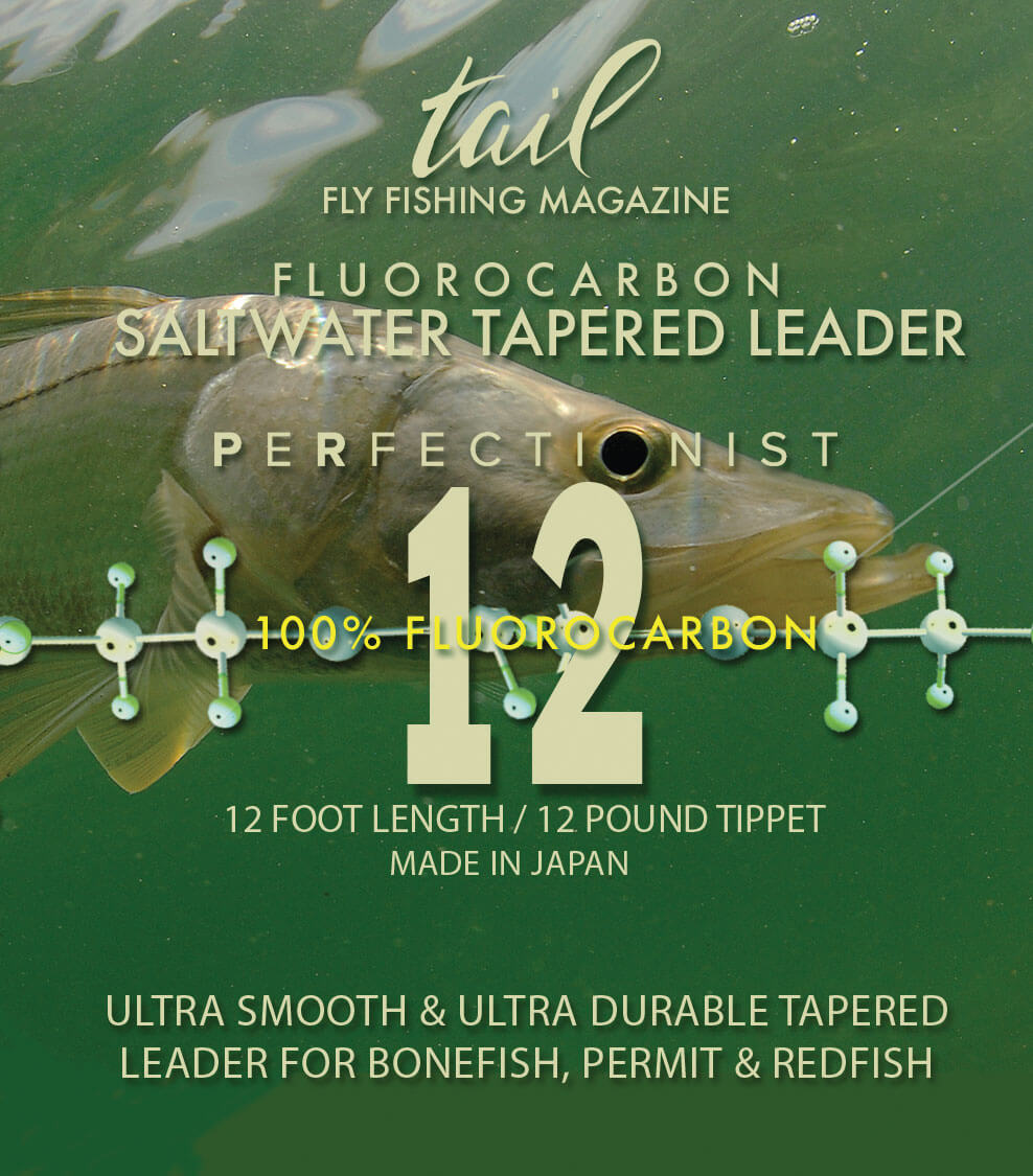 Saltwater fly fishing leaders - 12 foot fluorocarbon leaders for saltwater species
